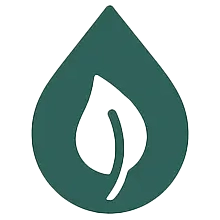 Eco-Friendly Textile Innovation